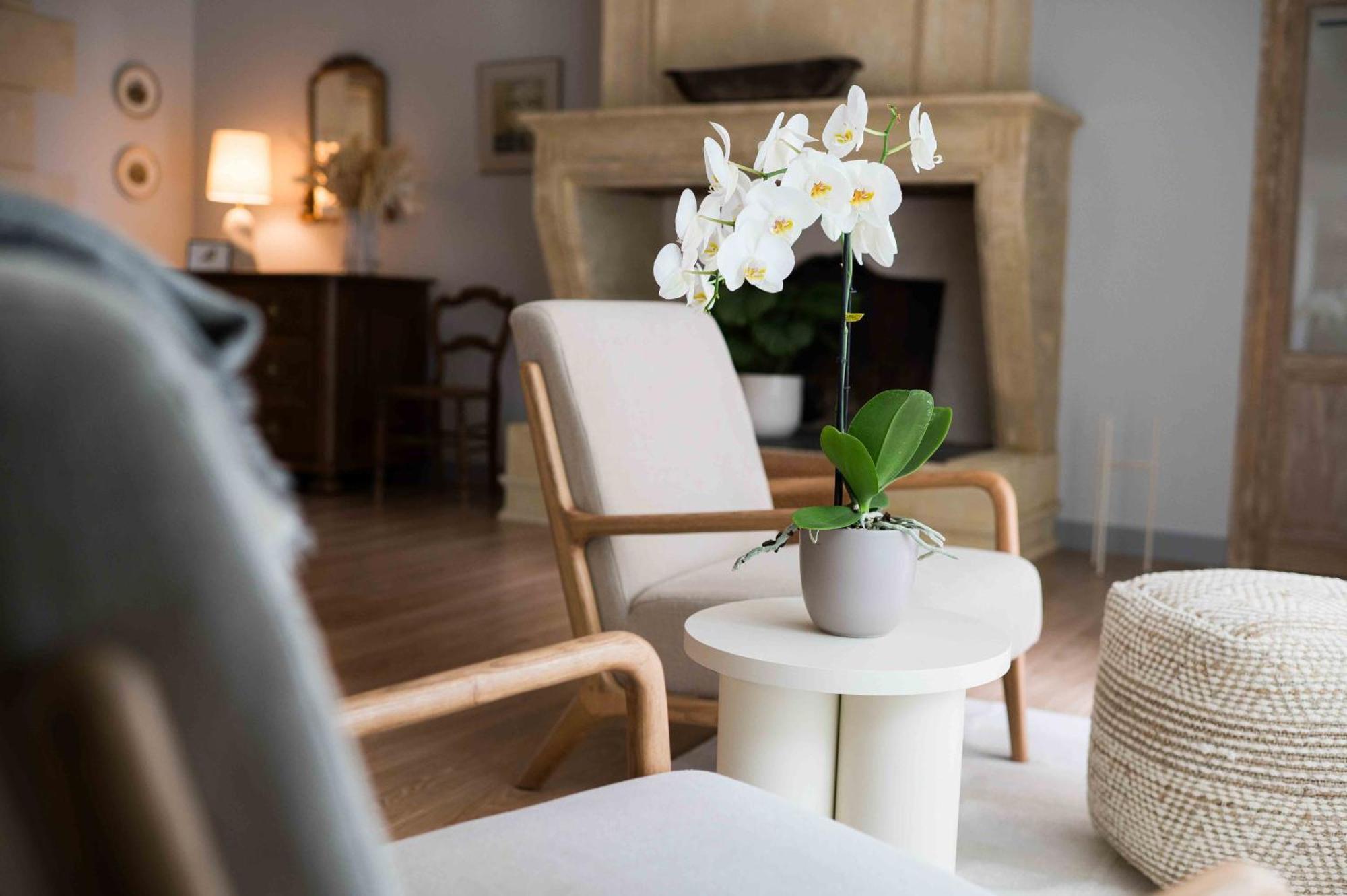 Clos De La Barbanne Montagne  Room photo